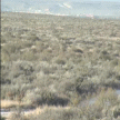 Camera 14
